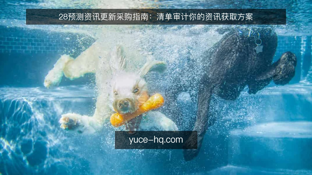 28预测资讯更新采购指南：清单审计你的资讯获取方案
